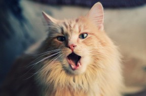 mk体育在线-地方政府支持篮球建设推动全民健身，怎么让政府建个篮球场