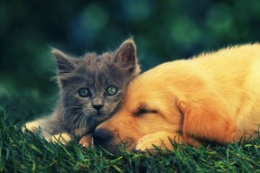 mk体育平台官网-欧洲杯战火争锋：战术创新引领新高潮，欧洲站杯