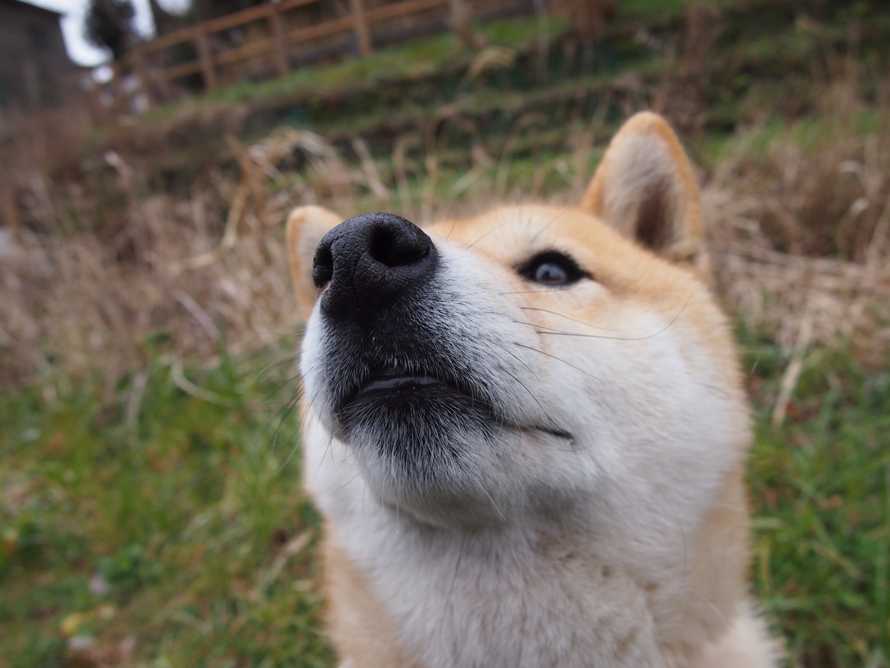 五大联赛球队节奏控制能力与胜率呈现什么关系,五大联赛强度