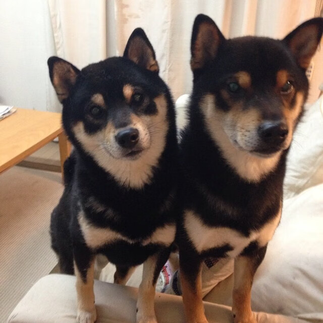 体育小镇建设成果展示会成功举办,体育小镇 规划设计方案