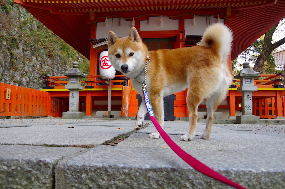国际热身赛国足爆冷 球迷呼吁加强防守,国足热身赛大胜
