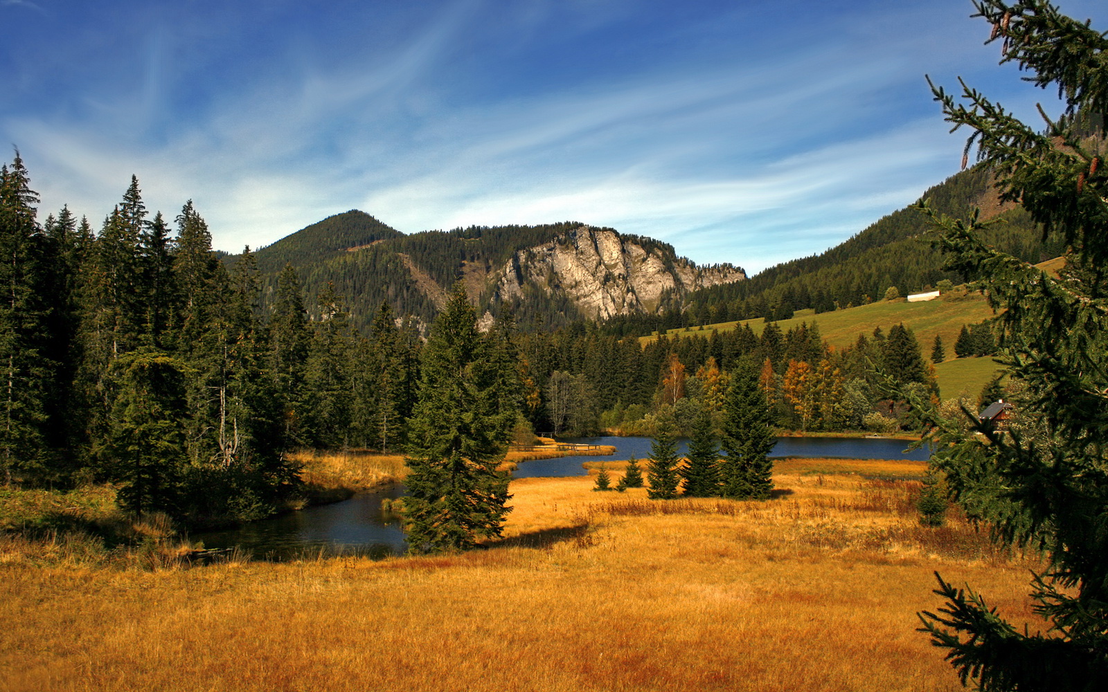 瑞典乒乓球团队亮眼表现,2024年世界杯征战解析,瑞典乒乓球联赛