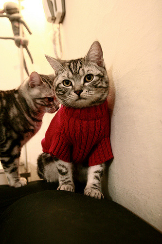 节奏掌控是否是球队领袖的必备能力之一,节奏控制