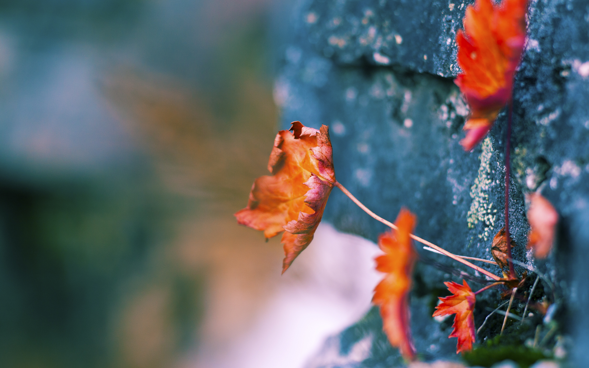 足球赛场赛事安全管理全面加强,足球赛安全注意事项