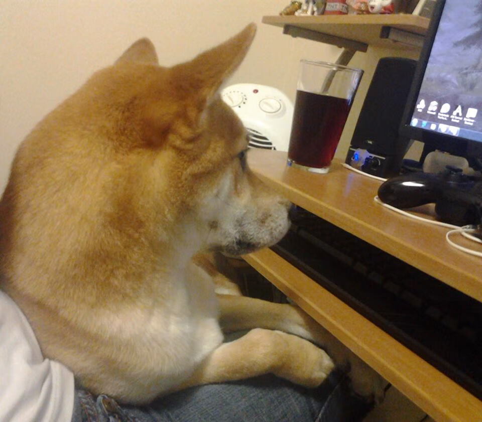 辽宁飞豹执行战术纪律严明减少无谓失误,辽宁飞豹吧 百度贴吧